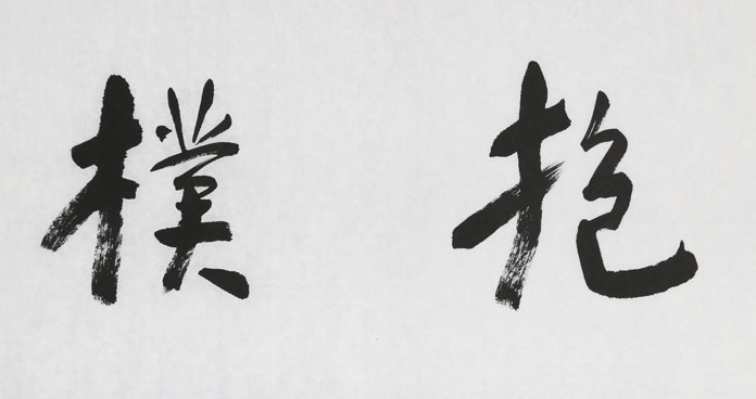 已装饰不上架张德林抱朴藏真