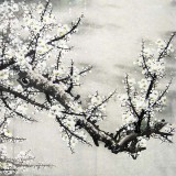 【已售】六尺精品《白梅图》