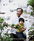 【已售】王呈四尺斗方国画《出水芙蓉媚可怜》