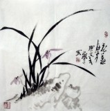 【已售】三尺斗方兰花图