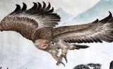 【已售】名家蒲家瑞四尺雄鹰图《展翅云天》