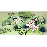 凌雪四尺工笔荷花图《国色天香》