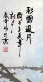 QA北京美协张春奇四尺九鱼《彩云追月》