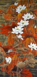 【已售】文君参展工笔荷花图