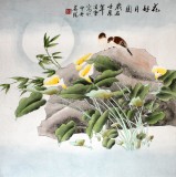 【已售】凌雪四尺斗方卧室花鸟画《花好月圆》