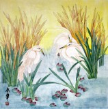 【已售】张春华四尺斗方花鸟 白鹭