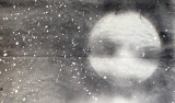 【已售】王贵邱精品国画狼《月夜》