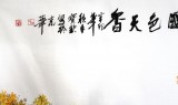 【已售】牡丹名家王宝钦精品六尺《国色天香》（议价）