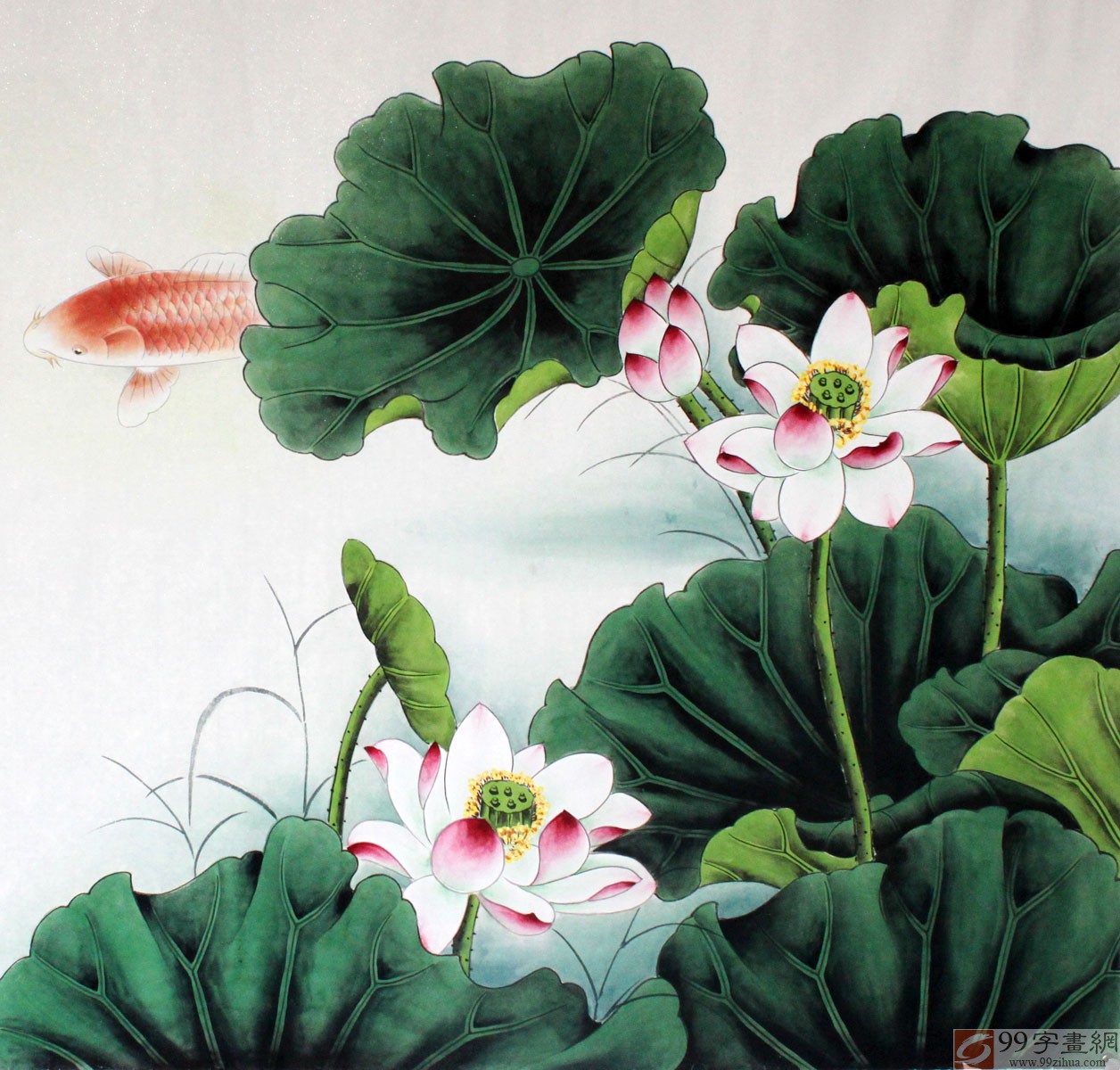九鱼荷花国画 - 九鱼图