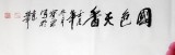【已售】王宝钦六尺锦鸡牡丹图《国色天香》(询价)