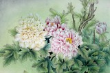【已售】山东美协赵逸梅四尺斗方《国色天香》