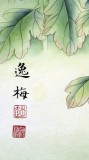 【已售】山东美协赵逸梅四尺斗方《秋菊》