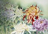 【已售】山东美协赵逸梅四尺斗方《秋菊》