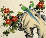 【已售】北京美协凌雪三尺斗方《玉兰鹦鹉》