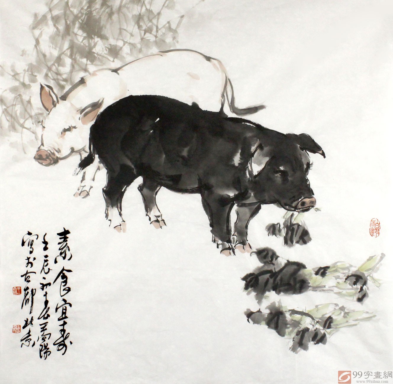 工笔画猪图片,名家工笔画猪_大山谷图库