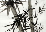 SK何华贤三尺国画《竹报平安》