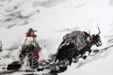 QA著名动物画家王向阳作品《朔风吹银雪 千里藏骑路》(询价)