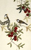 【已售】北京美协凌雪四尺花鸟四条屏