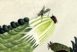 【已售】北京美协凌雪四尺斗方餐厅果蔬画《百财图》