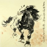 QA王向阳四尺斗方骏马图《春风得意马蹄香》