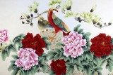 【已售】凌雪四尺锦鸡牡丹画《前程似锦》