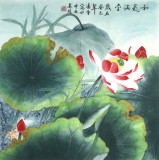 【已售】凌雪四尺斗方国画荷花《和气满堂》