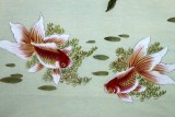 【已售】凌雪四尺斗方玉兰金鱼图《金玉满堂》