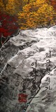 QA朝鲜一级艺术家 陈龙 作品《金刚之秋》