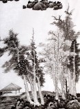 【已售】刘洋三尺精品山水画《溪江秋树图》