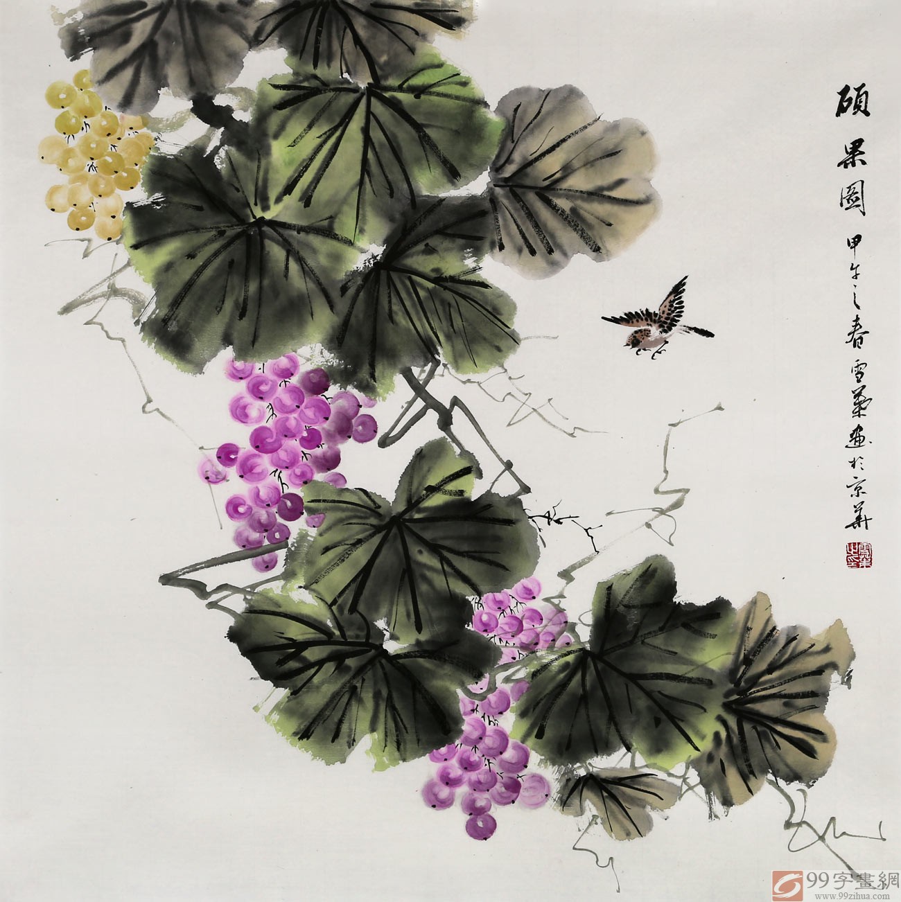 安徽美协何华贤四尺斗方《硕果图》 - 葡萄画 - 99字画网