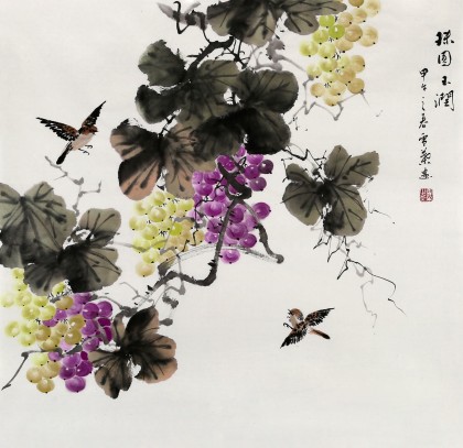 安徽美协何华贤四尺斗方《珠圆玉润》 - 葡萄画 - 99字画网