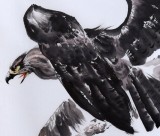 SK朝鲜画家辛哲秀 六尺《雄鹰》