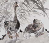 SK中国湿地画派创始人之一张明河 四尺斗方《湿地恋歌》