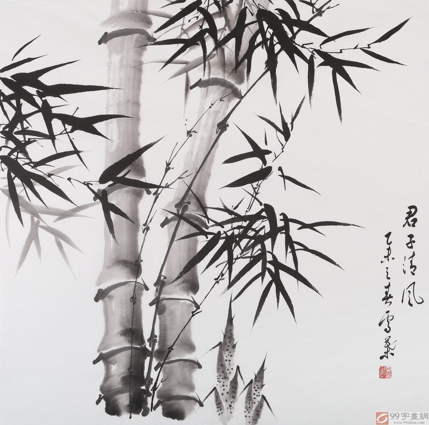 安徽美协何华贤 四尺斗方 竹子画《君子清风》