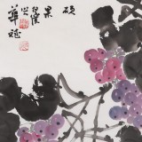 【已售】湖南省著名书画家罗华斌 四尺斗方《硕果图》