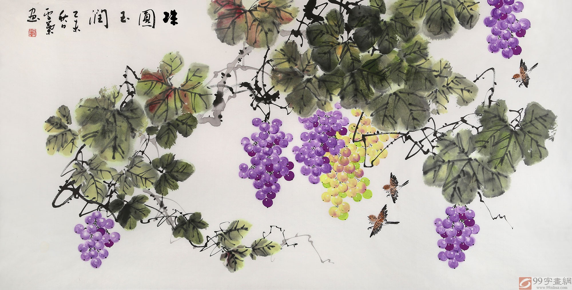 葡萄画,芒果画,中画葡萄人(第14页)_大山谷图库