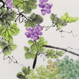安徽美协何华贤 四尺斗方《硕果丰盈》 - 葡萄画 - 99字画网