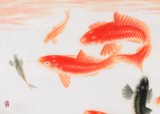【已售】中国画院名家 周升达 四尺斗方《富贵久鱼》（询价）