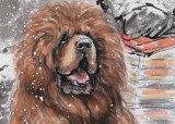 【已售】王贵邱四尺国画藏獒《风雪高原》