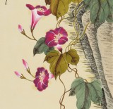 【已售】北京美协凌雪四条屏花鸟画《春花秋月》