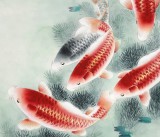 【已售】南海禅寺 妙林居士 三尺《连年有鱼》