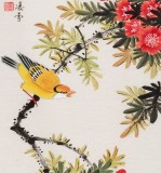 【已售】凌雪 四条屏《四时花鸟》 北京美协会员