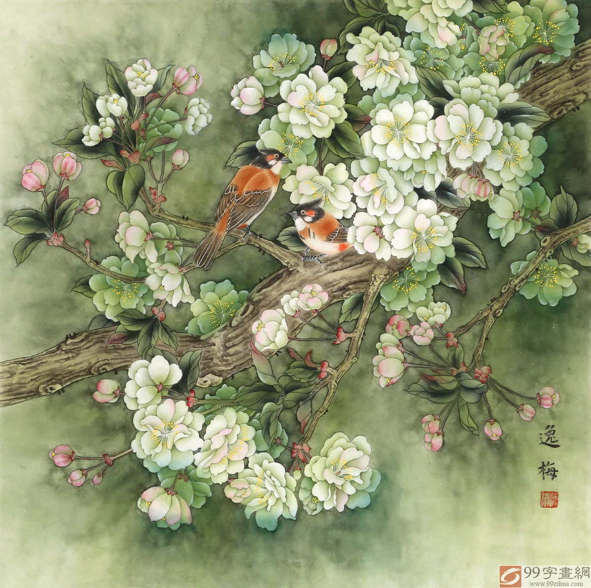 国画工笔花鸟|手工艺|其他手工艺|AllisonC - 临摹作品 - 站酷 (ZCOOL)