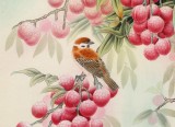 【已售】赵逸梅 四尺斗方《大利图》 著名工笔画家