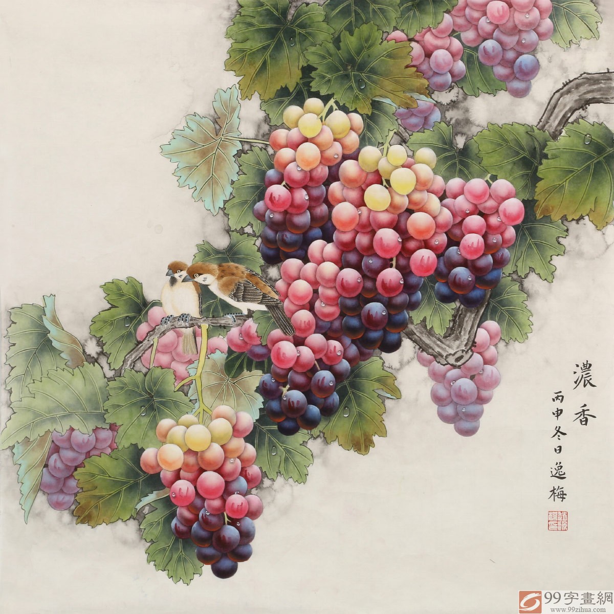 赵逸梅 四尺斗方工笔花鸟画《浓香》 - 葡萄画 - 99字画网