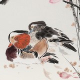 【已售】陈薪名《荷花鸳鸯图》第六届全国花鸟画展金奖获得者