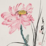 陈薪名《荷香》中美协会员 第六届全国花鸟画展金奖获得者