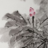 吴显刚 《映日荷花别样红》 贵州七星关美协主席