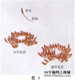 图片 12 图片 12
