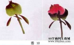 图片 10 图片 10